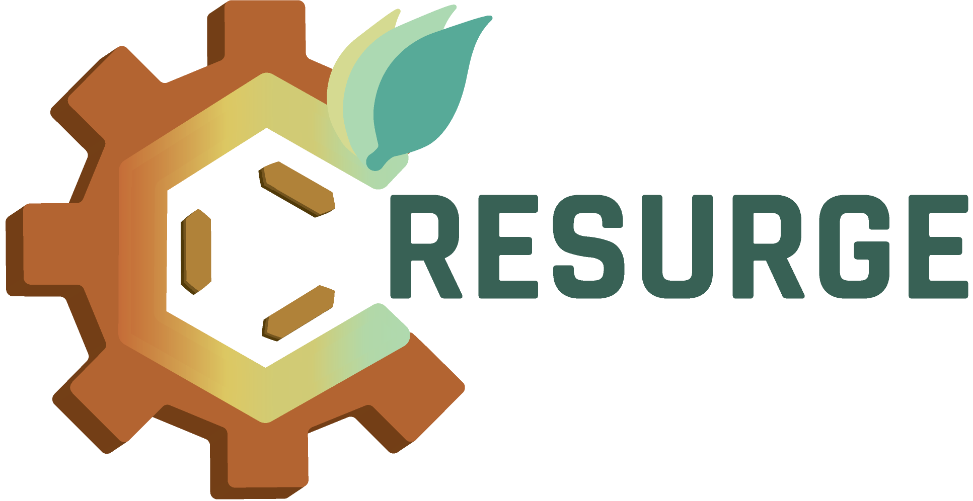 RESURGE Workshop Agenda